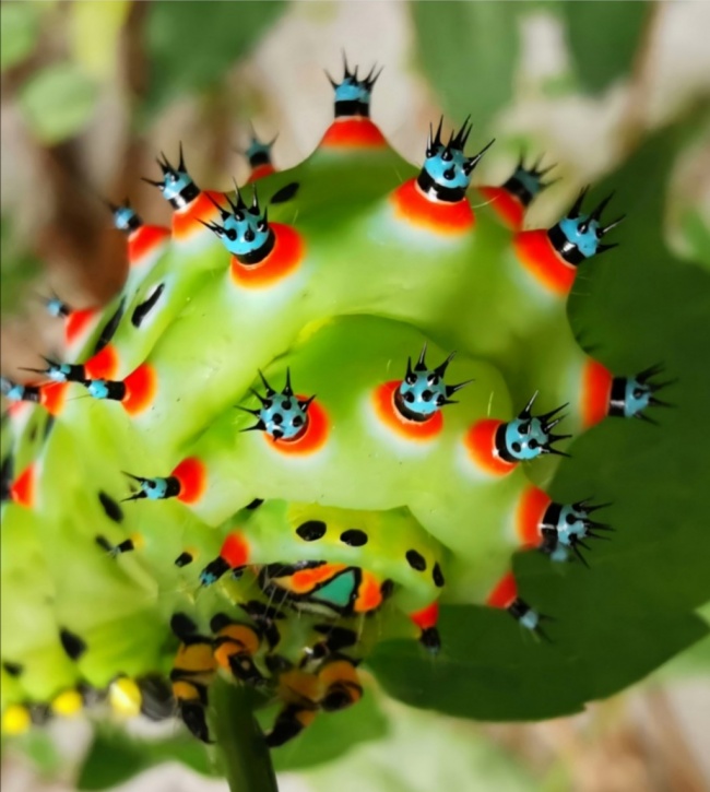 foto:Andrea Sicilia Tello - lo hecho en México