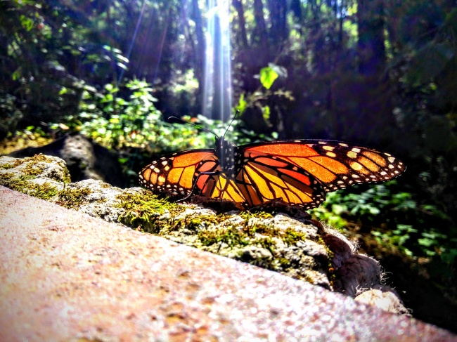 foto:Sandra Luz Jimenez - lo hecho en México