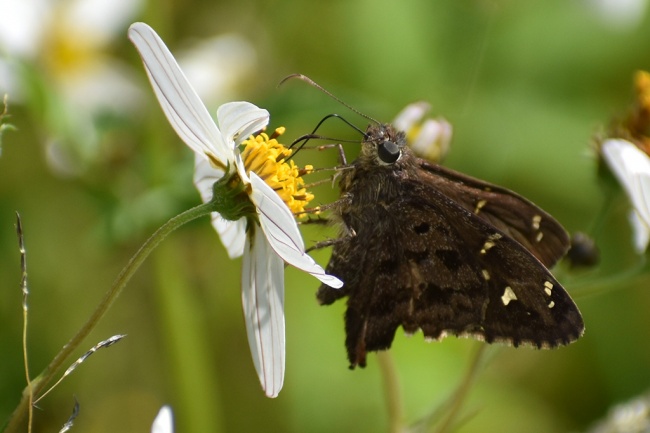 foto:Veronica Garduño Bastida - lo hecho en México