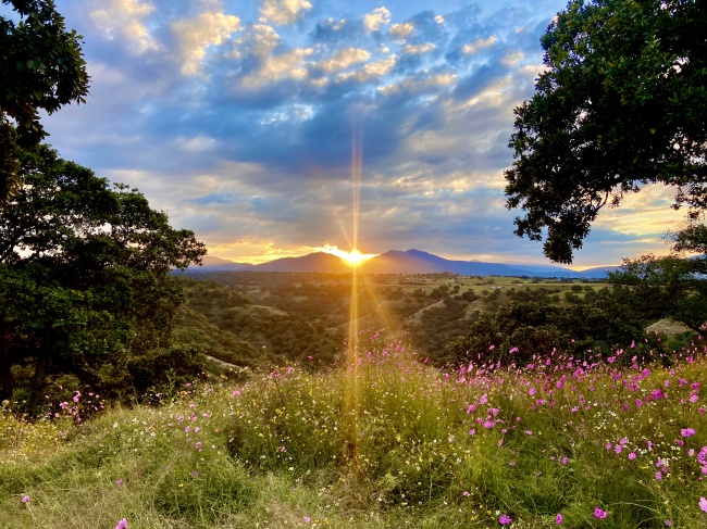 foto:Isrrael gomez - lo hecho en México