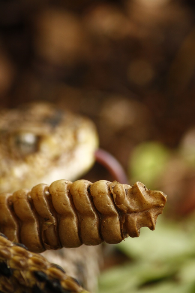 foto:Samuel Aréchaga Ocampo - lo hecho en México