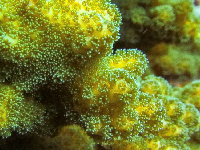 foto:Violeta Martínez Castillo - lo hecho en México