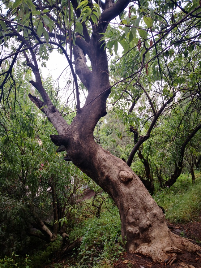 foto:María Isabel Rodríguez Luna - lo hecho en México
