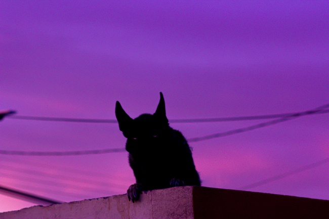 foto:Andrea Elisa Miramontes Laguna  - lo hecho en México