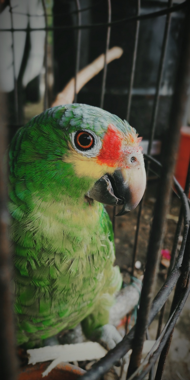 foto:SINAÍ MONSERRAT HERNÁNDEZ MORELOS - lo hecho en México