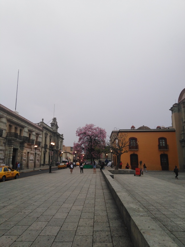 foto:Ruffo Cain López Hernández - lo hecho en México