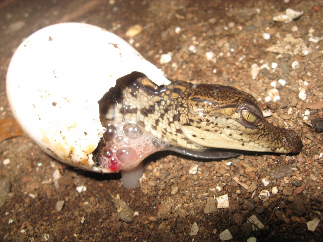 foto:Alejandro Villegas Castillo - lo hecho en México