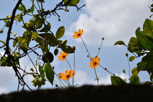 foto:Noah Sandoval - lo hecho en México