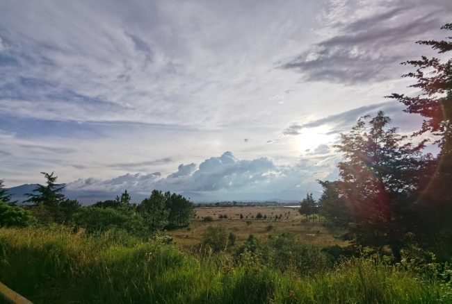 foto:Juanita Peñaloza Diaz - lo hecho en México