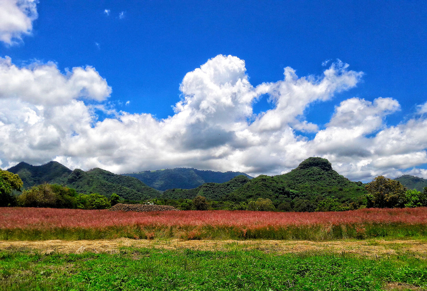 foto:Daniel Miranda Romero - lo hecho en México