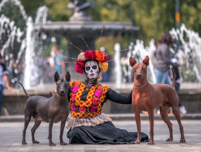 foto:Edgar Olguín Quiroz - lo hecho en México