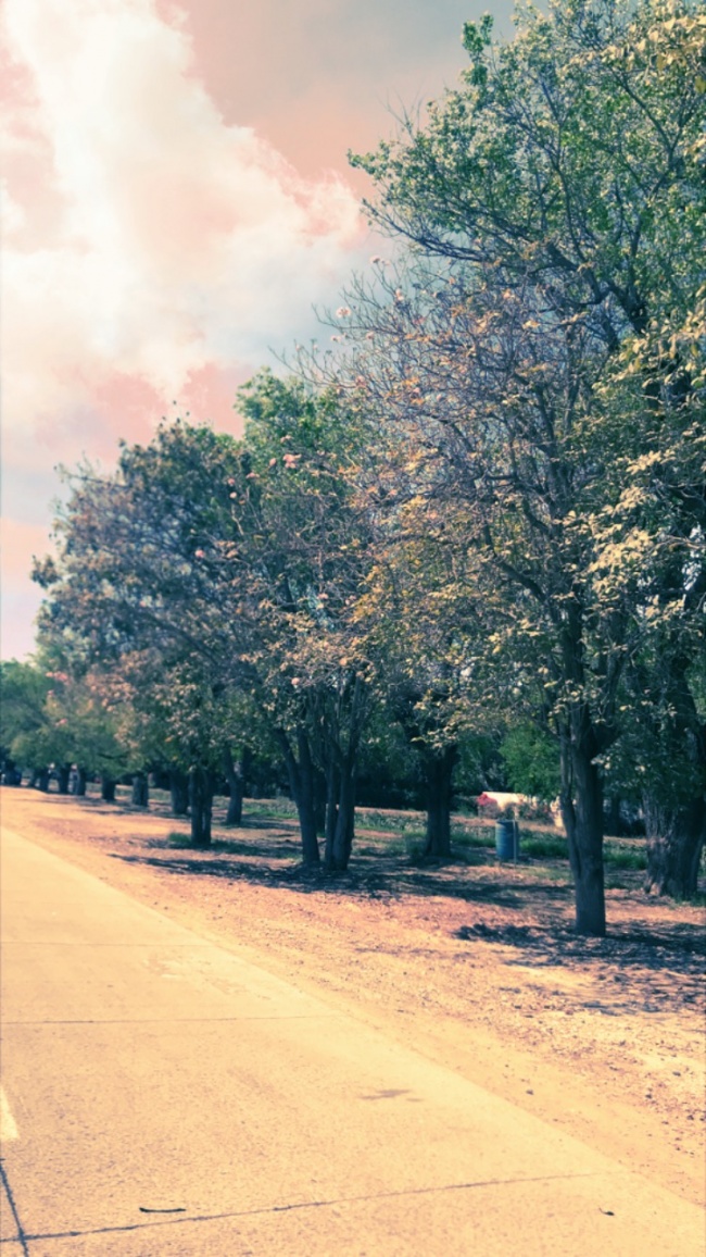 foto:Mariana Rodríguez Moreno - lo hecho en México