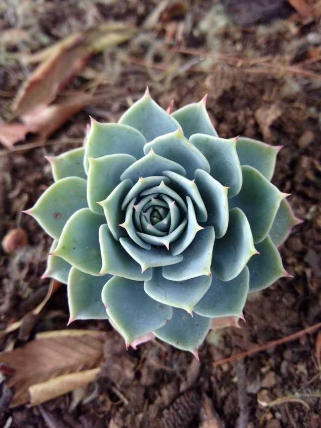 foto:IVAN FERRUSCA BECERRIL - lo hecho en México
