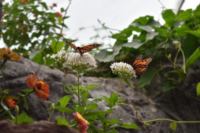 foto:Karla M. Estrada Ortiz - lo hecho en México