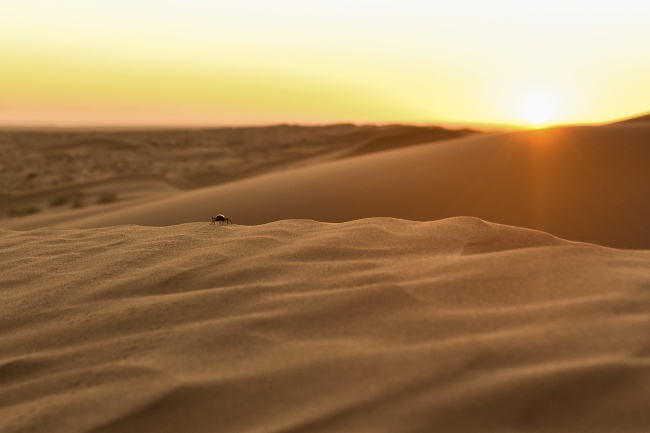 foto:CARLA MARÍA ARAIZA MARTÍNEZ - lo hecho en México