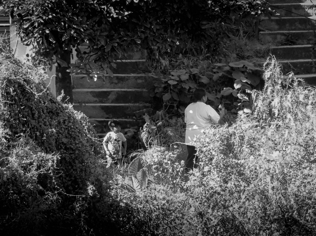 foto:Pedro Ricardo Trevilla Sandoval - lo hecho en México