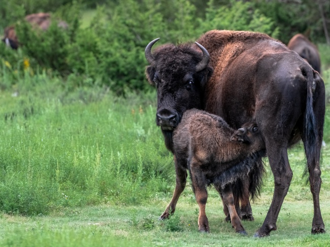 foto:Daniel González Lázaro - lo hecho en México