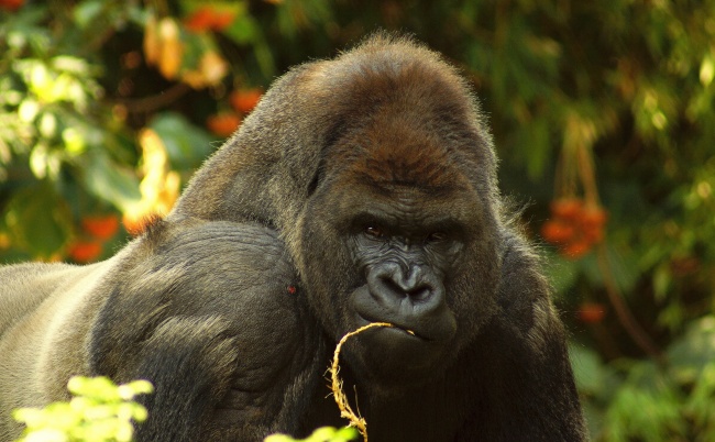 foto:Emmanuel Hidalgo Uribe - lo hecho en México