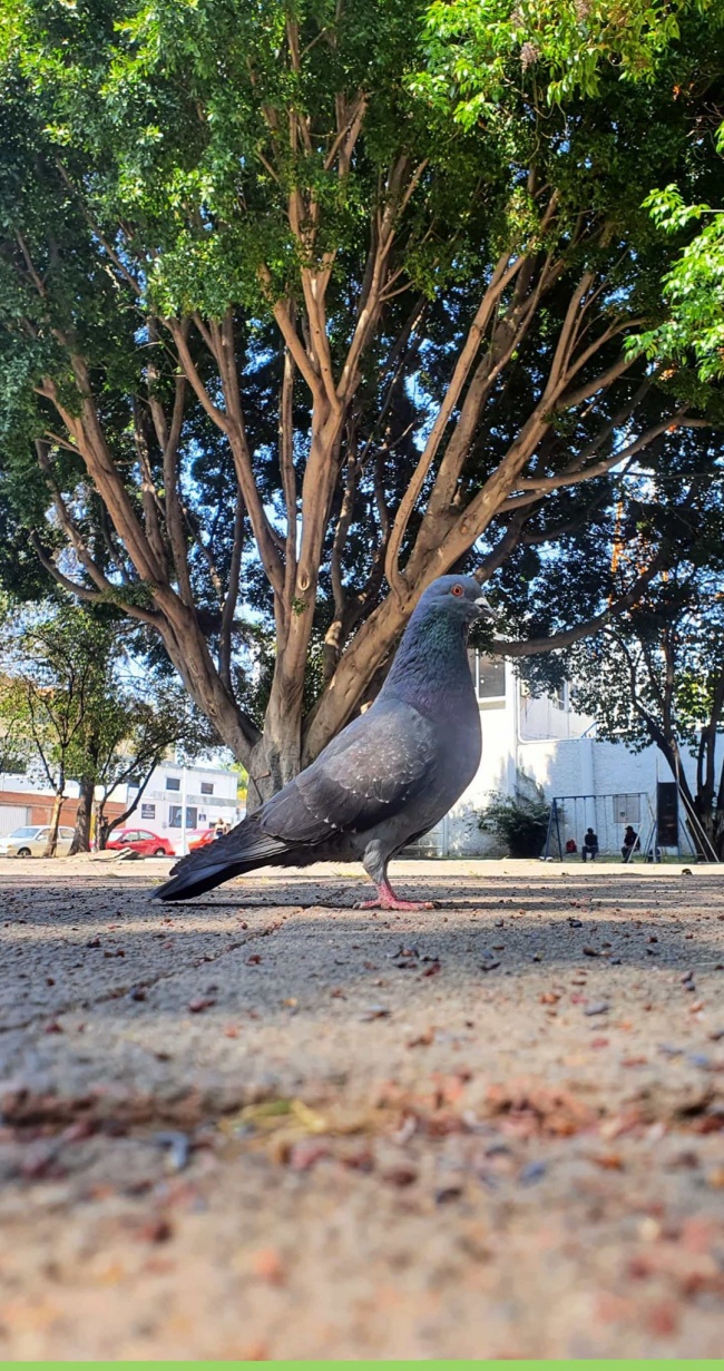 foto:Karin Figueroa - lo hecho en México