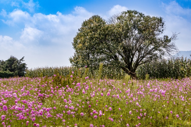 foto:Fabiola Marina Sáenz Cózar - lo hecho en México