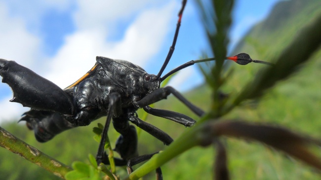 foto:Oscar Andrade Lara - lo hecho en México