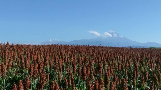 foto:Miguel Ángel Gaspar Beto - lo hecho en México