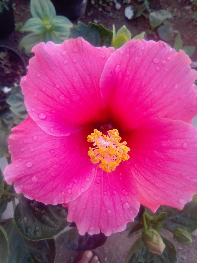 foto:Florencio ascencion Apolinar - lo hecho en México