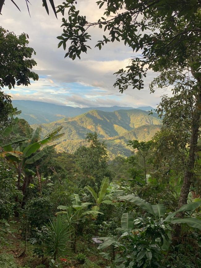 foto:Anna Laura Ortega Gonzalez - lo hecho en México