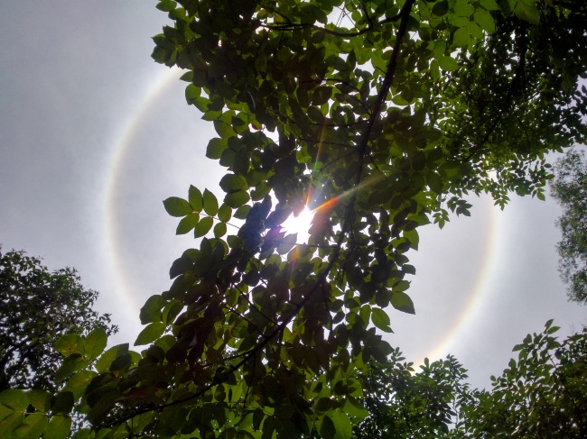 foto:Sheila López de Rivera Aragón - lo hecho en México