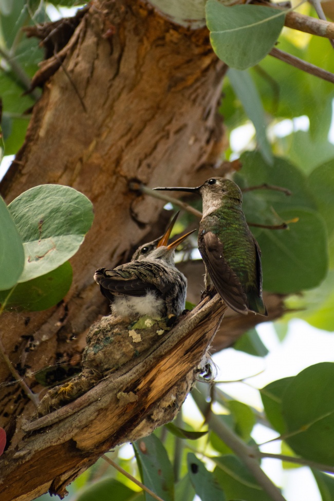 foto:Alvarez Higuera - lo hecho en México
