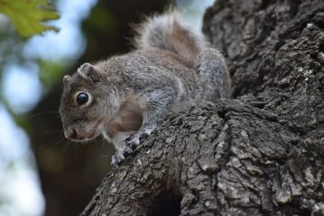 foto:Adriana Josefina Treviño Moreno - lo hecho en México