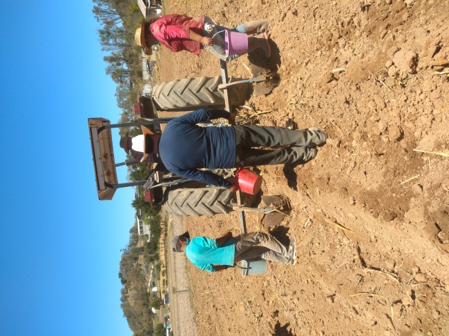 foto:Francisca Ventura Ramírez Mercado - lo hecho en México