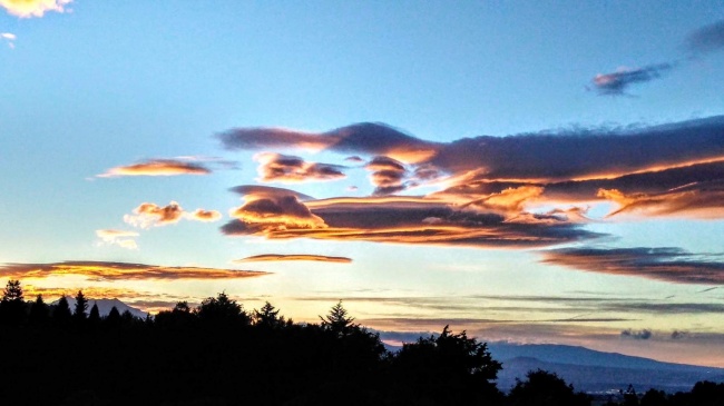 foto:Marian Guadalupe Alejandro Bernal - lo hecho en México