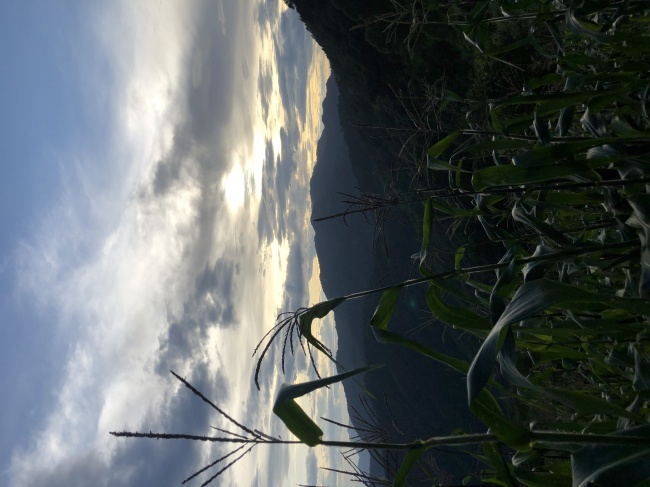 foto:Juan Carlos Mejía Bermúdez - lo hecho en México