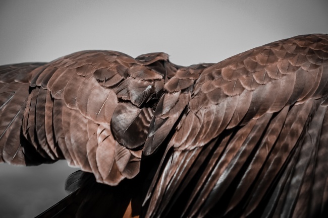 foto:Daniel Isaac Albavera Gallegos - lo hecho en México