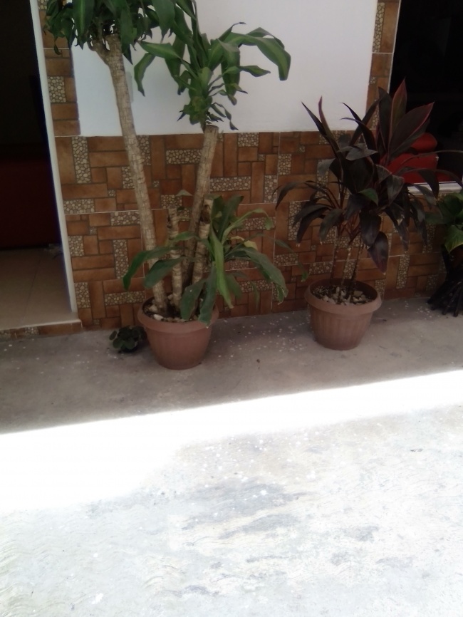 foto:Cristian Jesús Pérez huerta - lo hecho en México