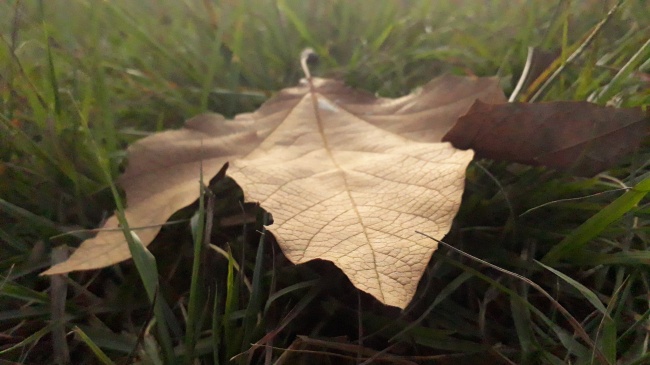 foto:Edgar Amayo Lòpez - lo hecho en México
