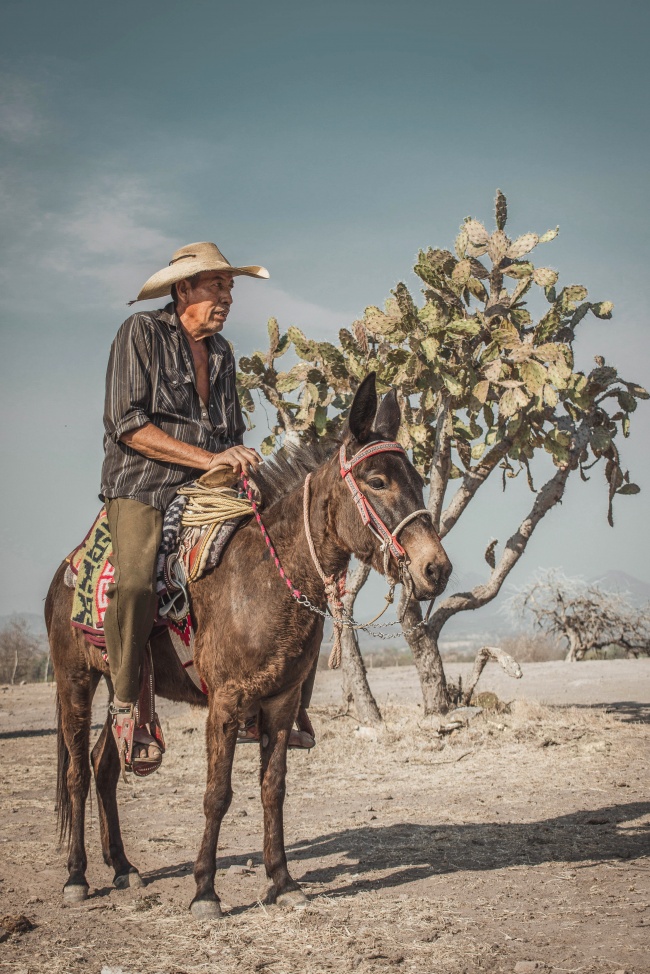 foto:José Alberto Gálvez Arroyo - lo hecho en México