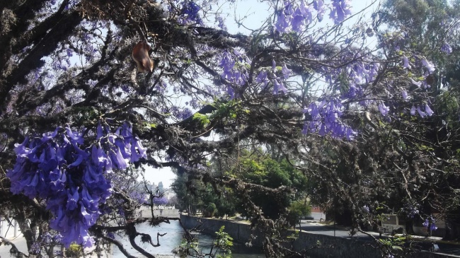 foto:Tania Xochitl Humarán Curet - lo hecho en México