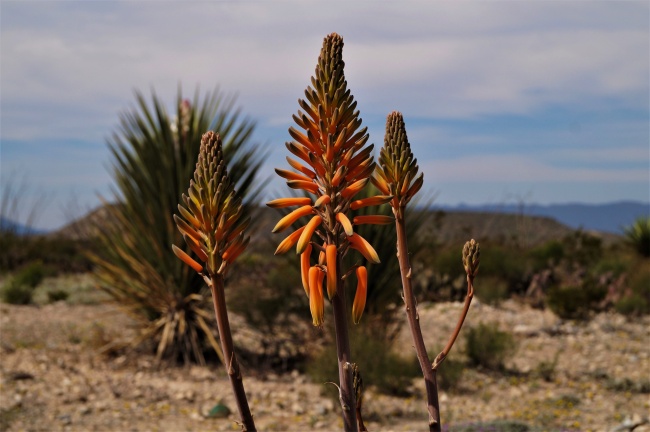 foto:Enrique Gómez Canizales - lo hecho en México