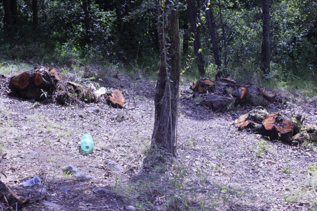 foto:Lucero Capilla China - lo hecho en México