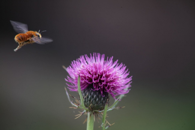foto:Arturo Nuñez Contreras - lo hecho en México