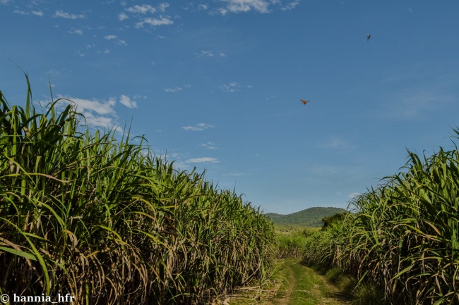 foto:Hannia Fernández Rivas - lo hecho en México