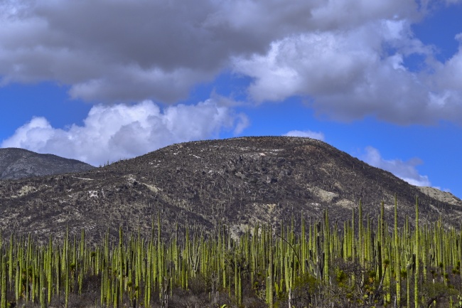 foto:Salvador Cruz Marquez - lo hecho en México