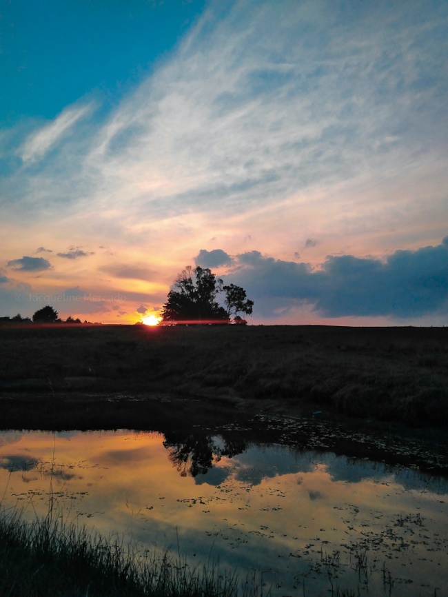 foto:Esmeralda Jacqueline Mercado Medina - lo hecho en México