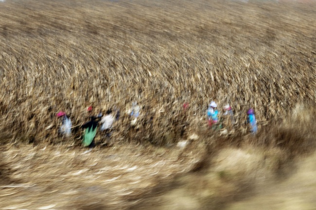 foto:Elda Gabriela Jiménez Hernández - lo hecho en México