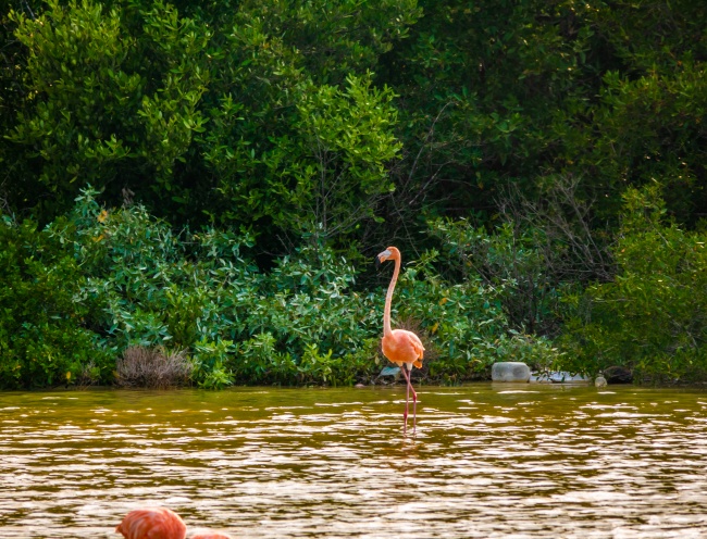 foto:Ricardo Mendoza Ramos - lo hecho en México