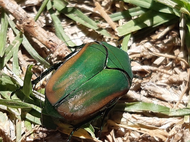 foto:Fernández Toledo Catalina - lo hecho en México
