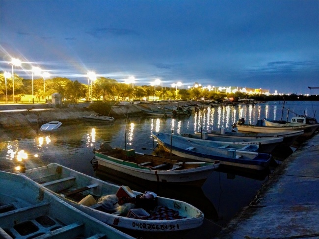 foto:Georgina Gamas de la Fuente - lo hecho en México