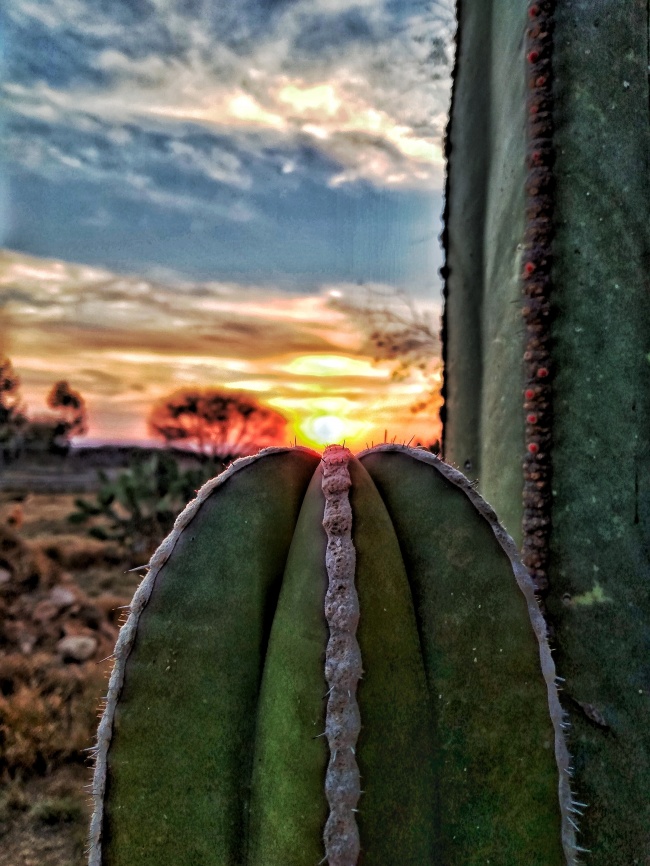 foto:Diana Laura Díaz Olvera - lo hecho en México